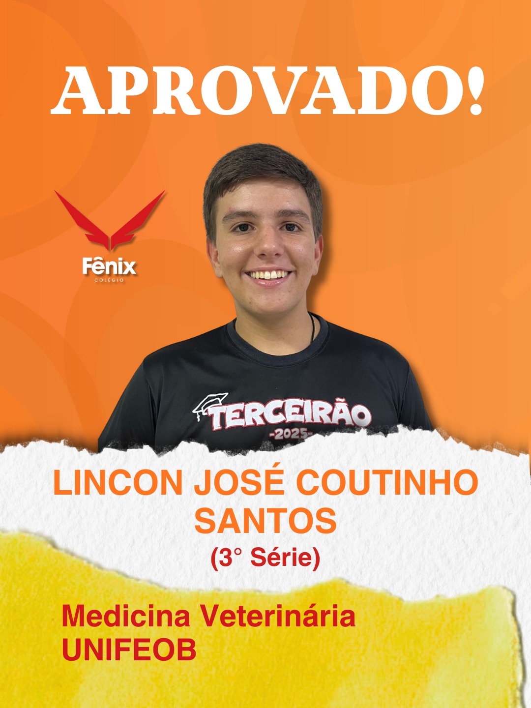 Eduarda Silva Alves [3º Ensino Médio] - Medicina - Universidade Federal de São João Del Rei UFSJ - Colêgio Fênix Pouso Alegre