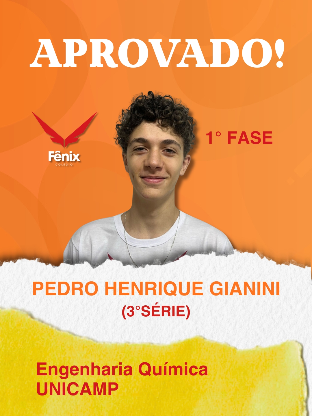 Eduarda Silva Alves [3º Ensino Médio] - Medicina - Universidade Federal de São João Del Rei UFSJ - Colêgio Fênix Pouso Alegre