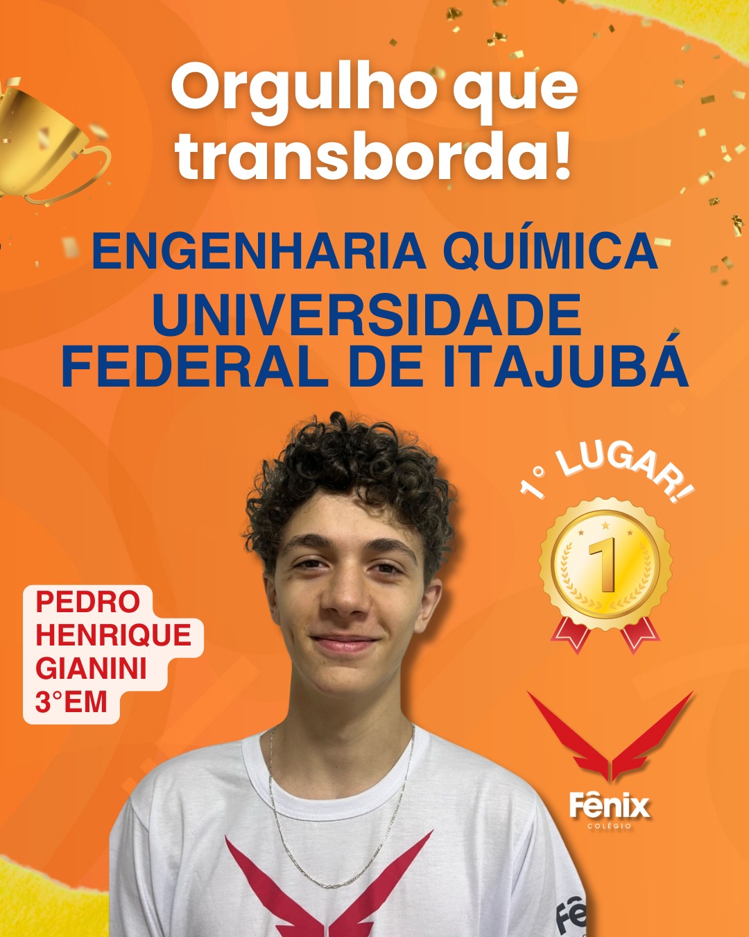 Pedro Henrique Gianini [3º Ensino Médio] - Engenharia Química - Universidade Federal de Itajubá, 1º LUGAR - Colêgio Fênix Pouso Alegre