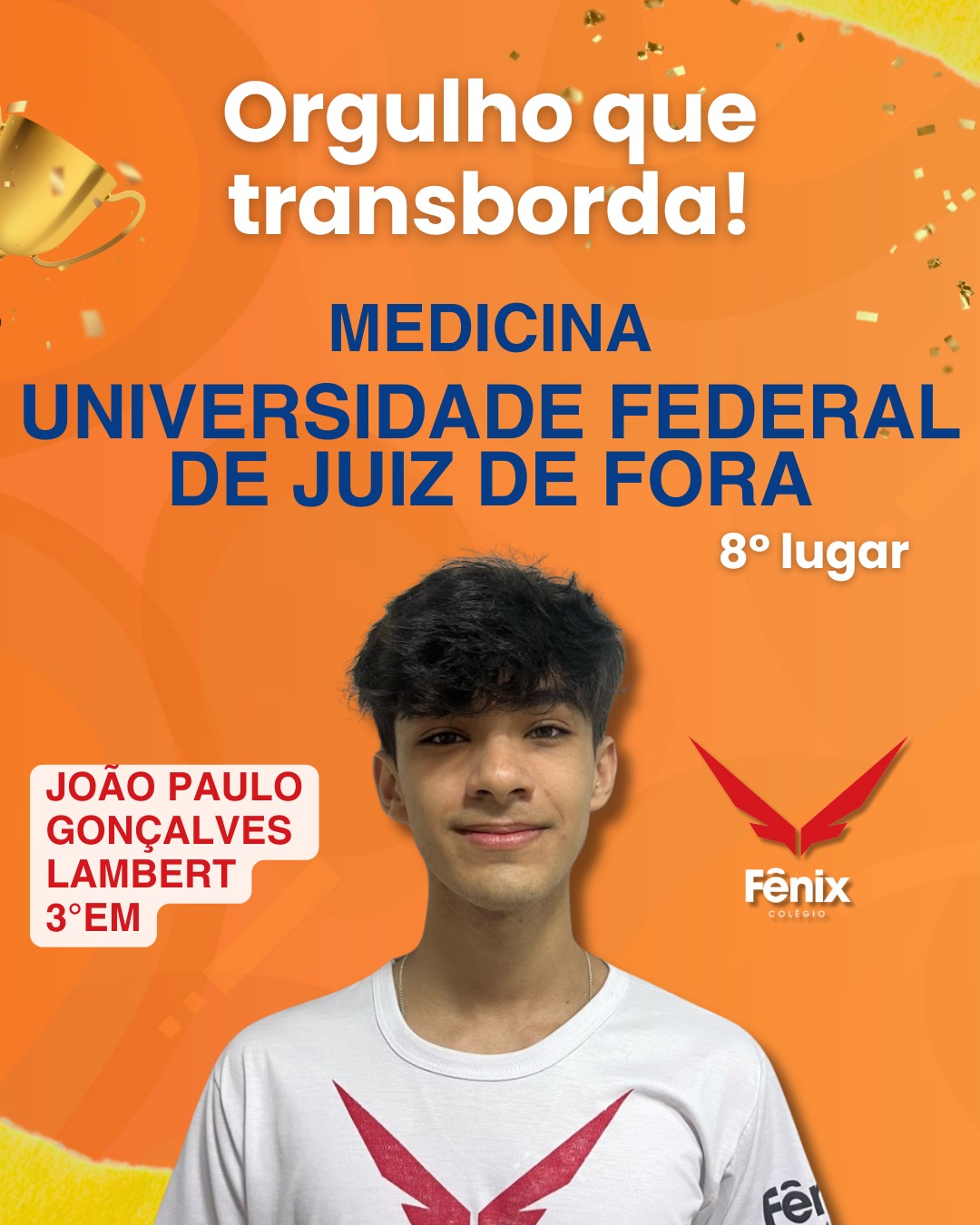 João Paulo Gonçalvez Lambert [3º Ensino Médio] - Medicina - Universidade Federal de Juiz de Fora, 8º LUGAR - Colêgio Fênix Pouso Alegre