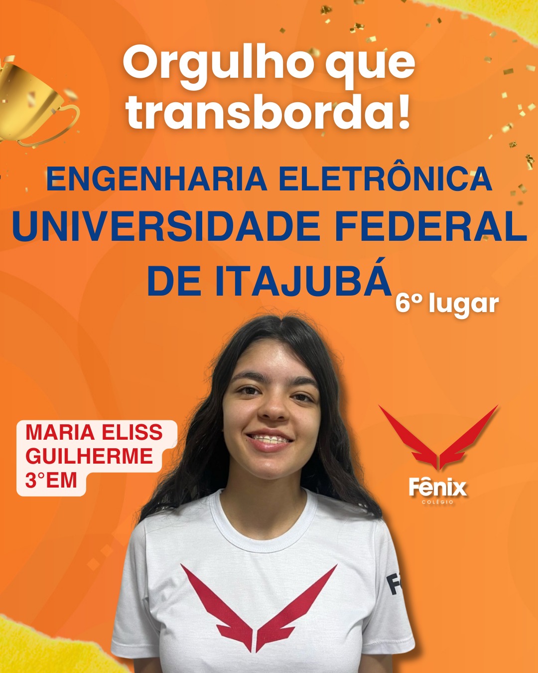 Maria Eliss Guilherme [3º Ensino Médio] - Engenharia Eletrônica - Universidade Federal de Itajubá, 6º LUGAR - Colêgio Fênix Pouso Alegre