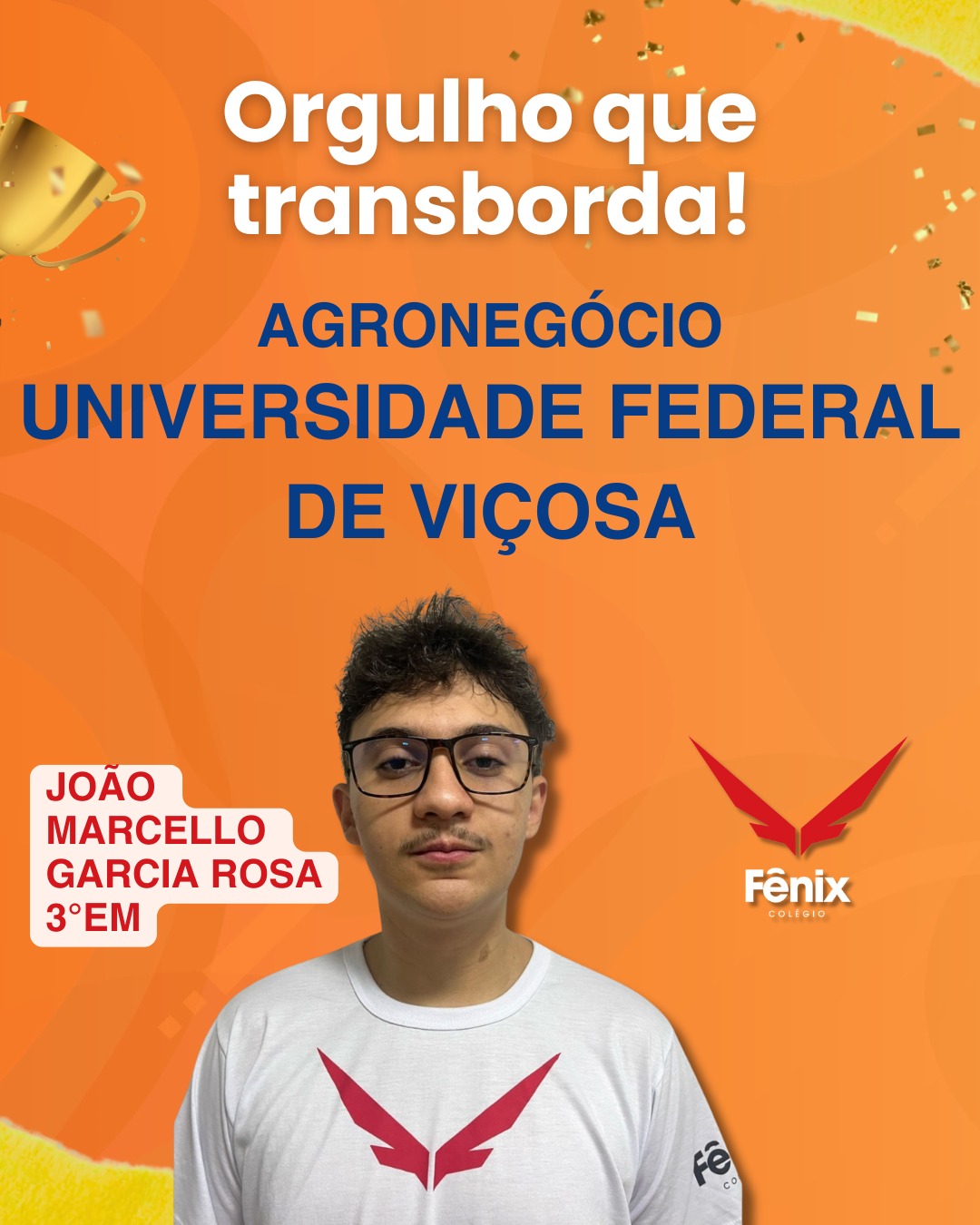 João Marcello Garcia Rosa [3º Ensino Médio] - Agronegócio - Universidade Federal de Viçosa - Colêgio Fênix Pouso Alegre