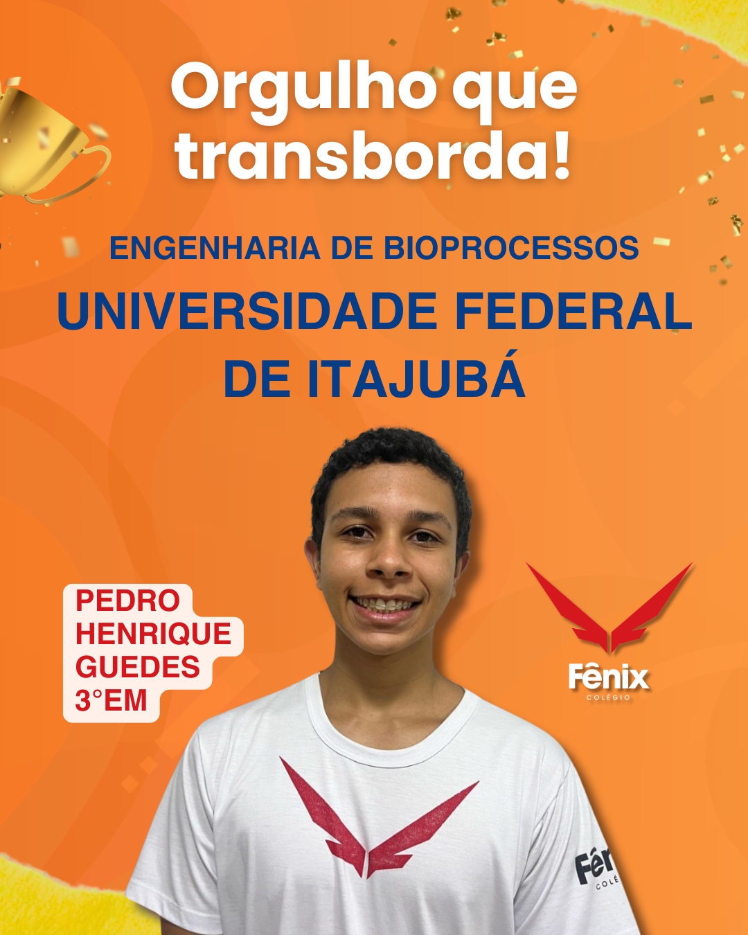 Pedro Henrique Guedes [3º Ensino Médio] - Engenharia e Processos - Universidade Federal de Itajubá - Colêgio Fênix Pouso Alegre
